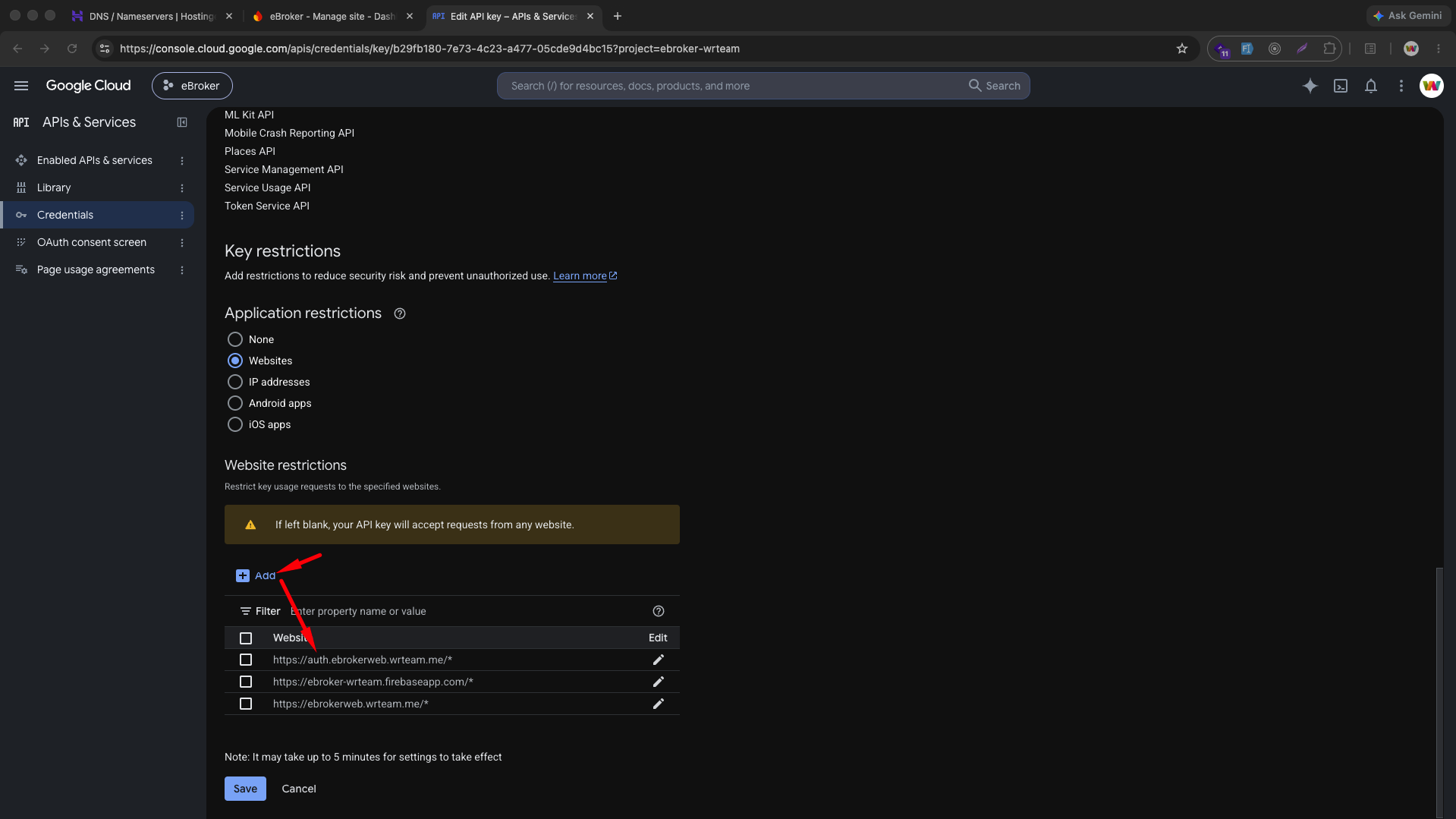 Add website restriction on API key