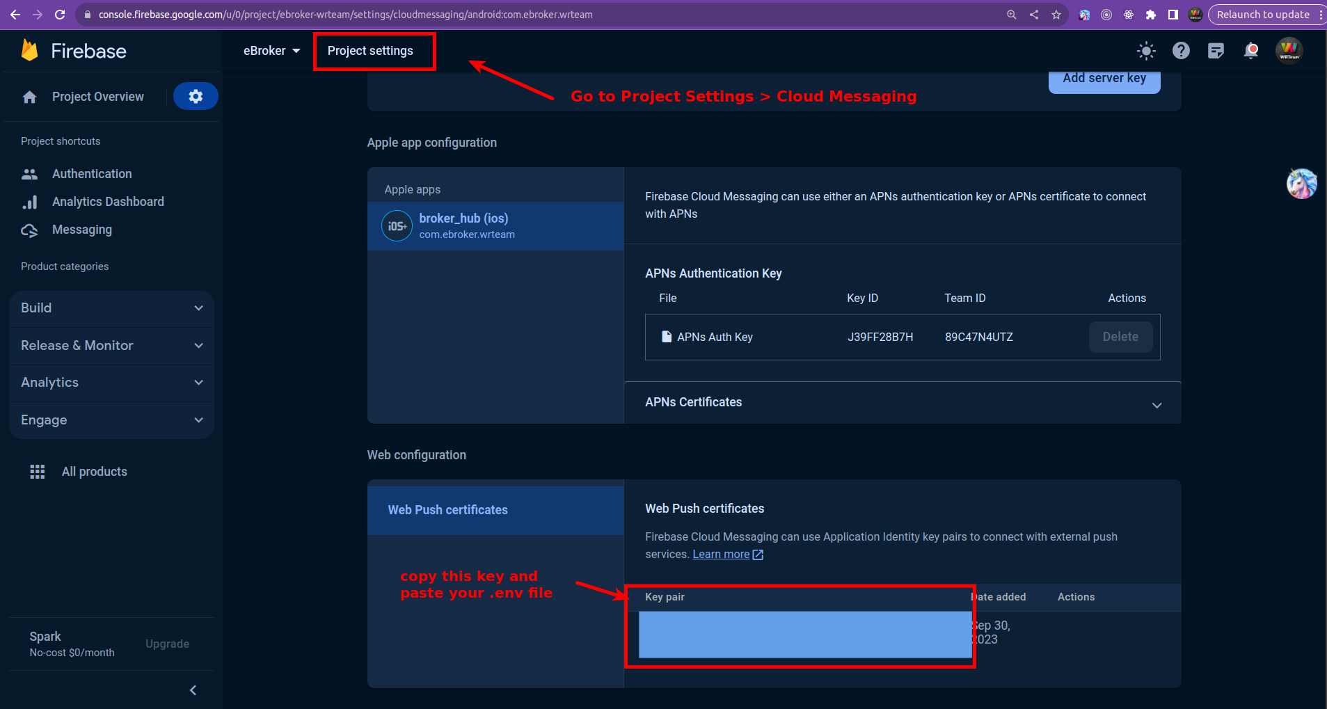 How to Get VAPID API