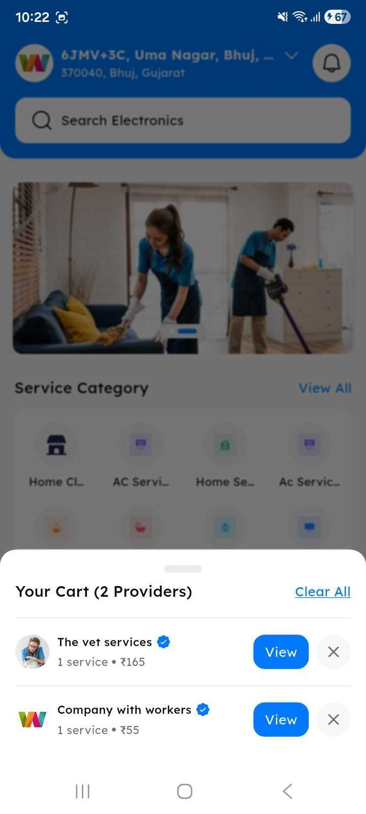 Online Cart