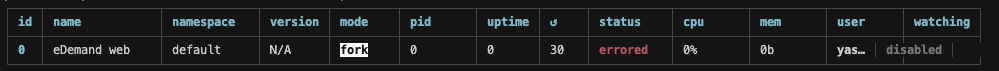 PM2 Error