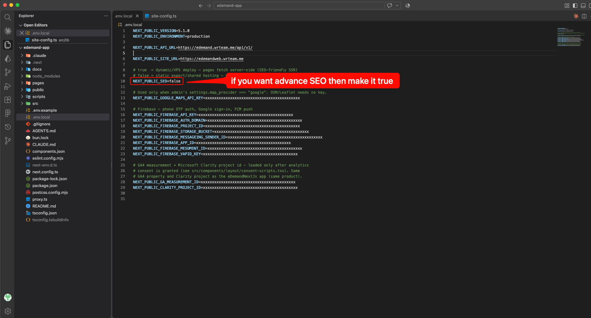 Next Public SEO