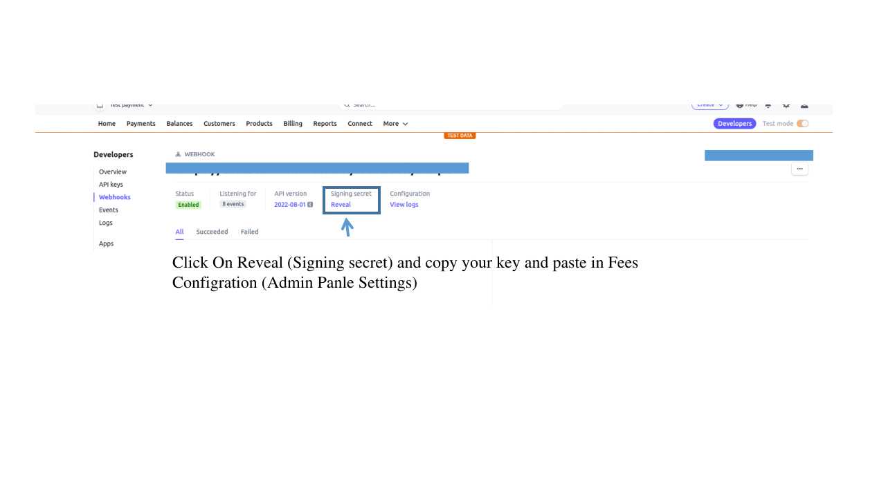 Stripe Webhook 3
