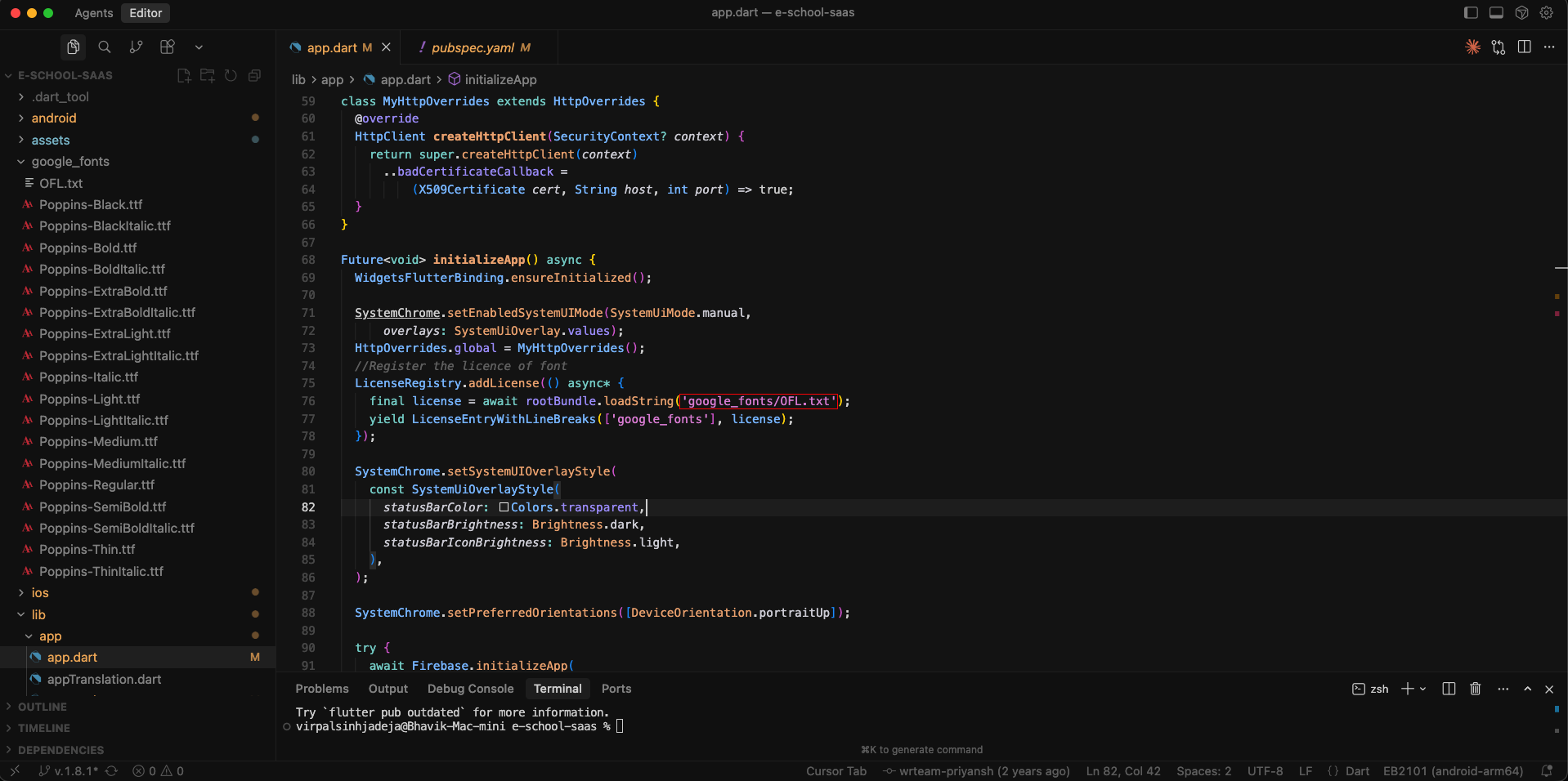 Pubspec Configuration