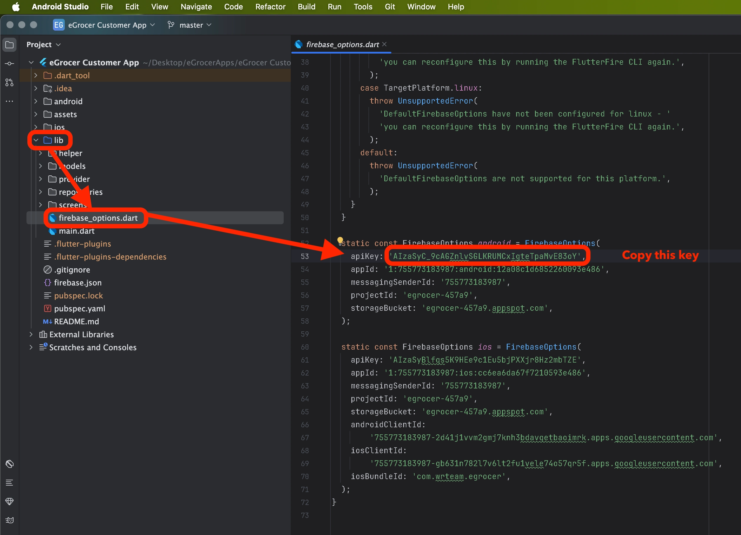 Copy Android Map API Key