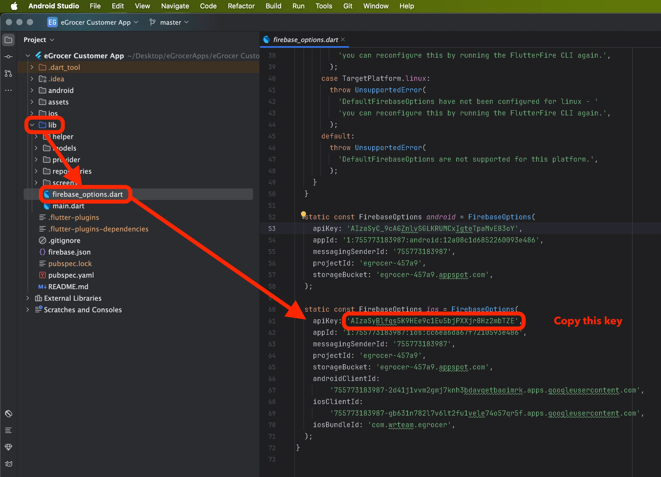 Copy iOS Map API Key