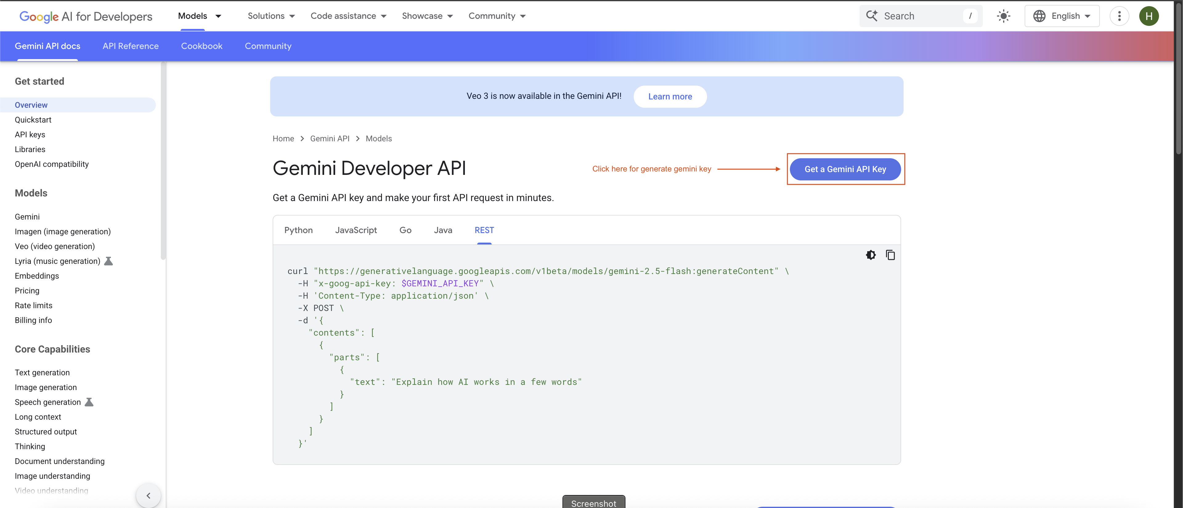Get Gemini API Key
