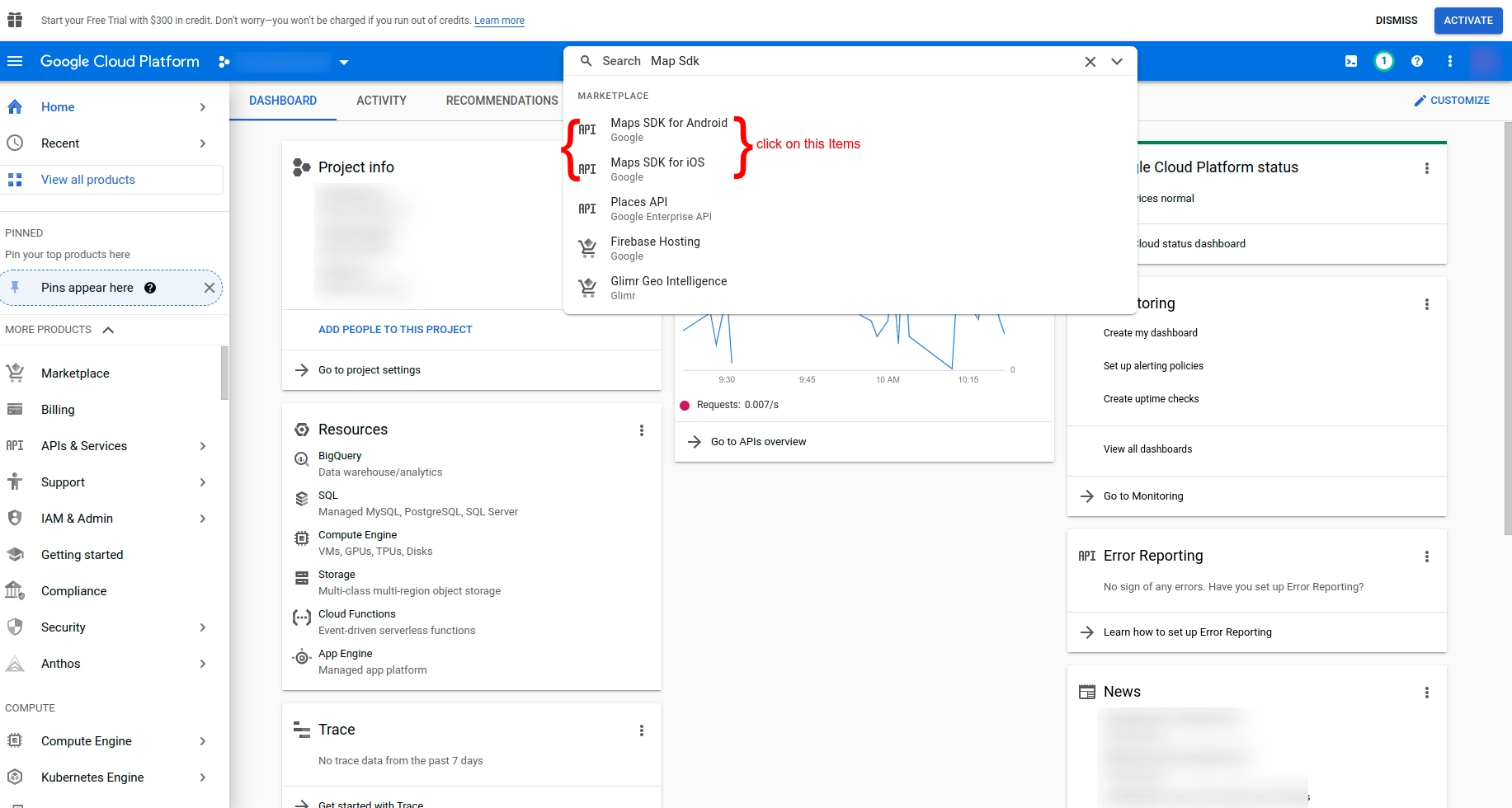 Google Maps API Key