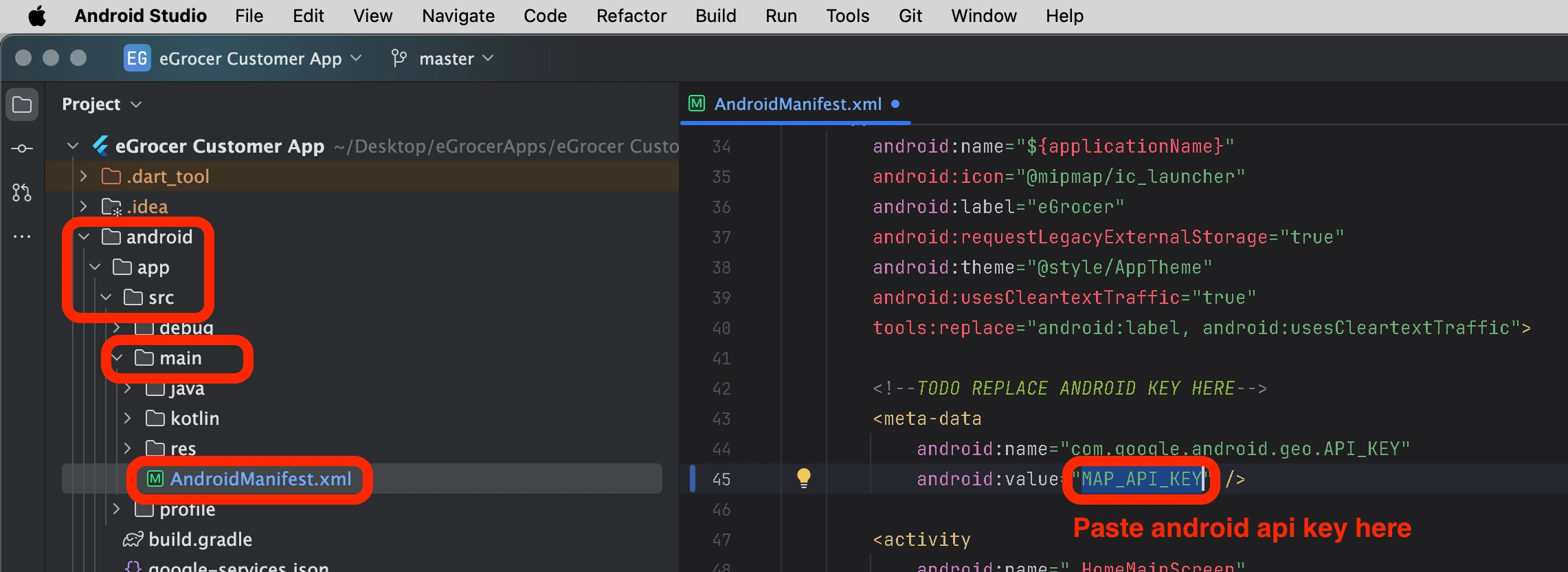 Paste Android Map API Key