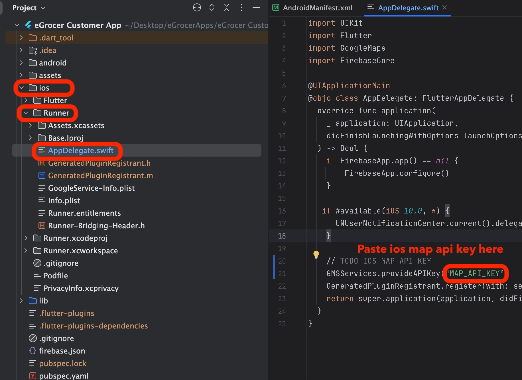 Paste iOS Map API Key