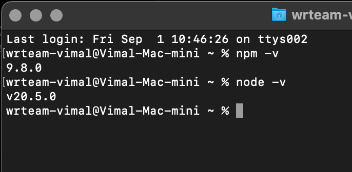 NPM Version Check