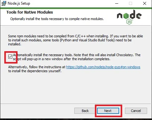 NPM Installation Step 5