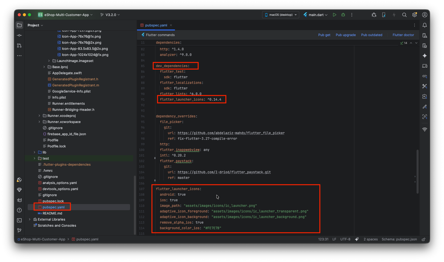 Pubspec Configuration