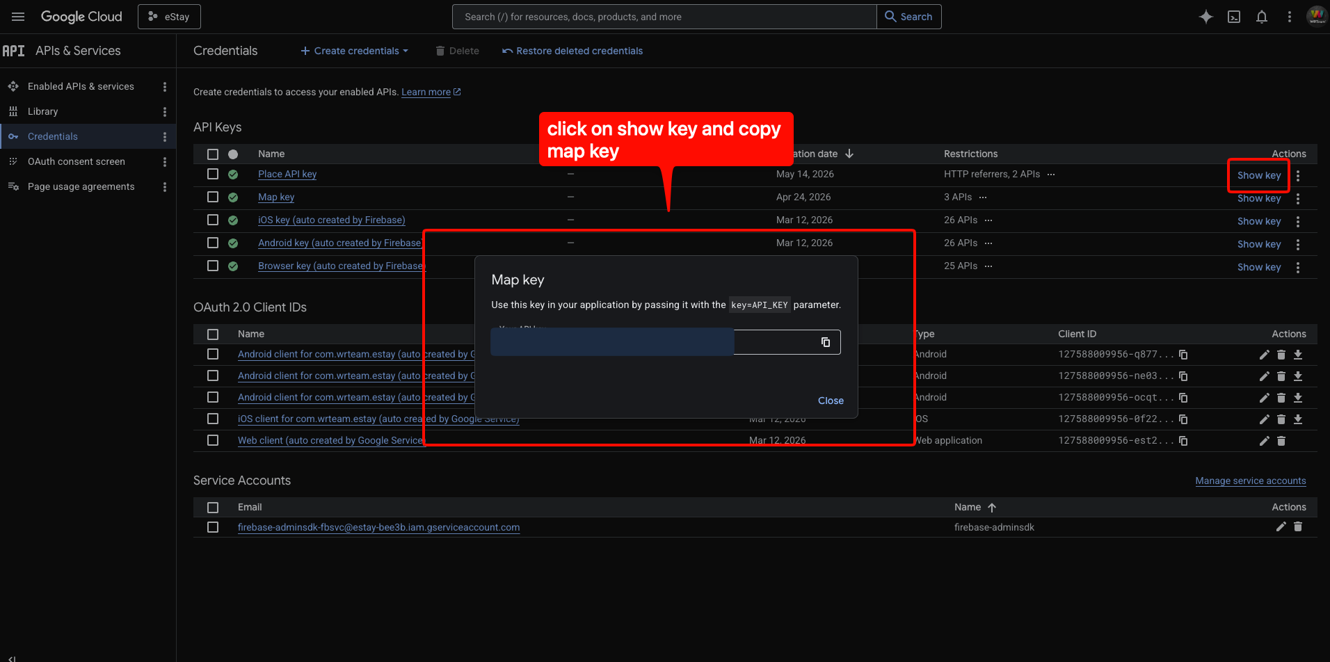 Copy Map API Key