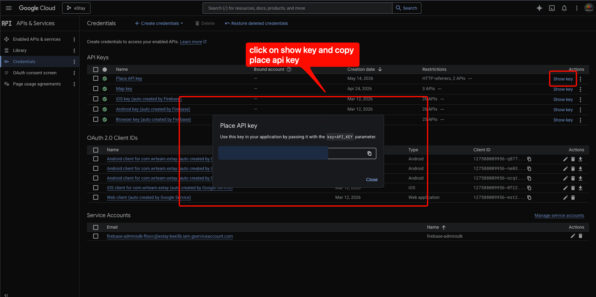 Copy Place API Key