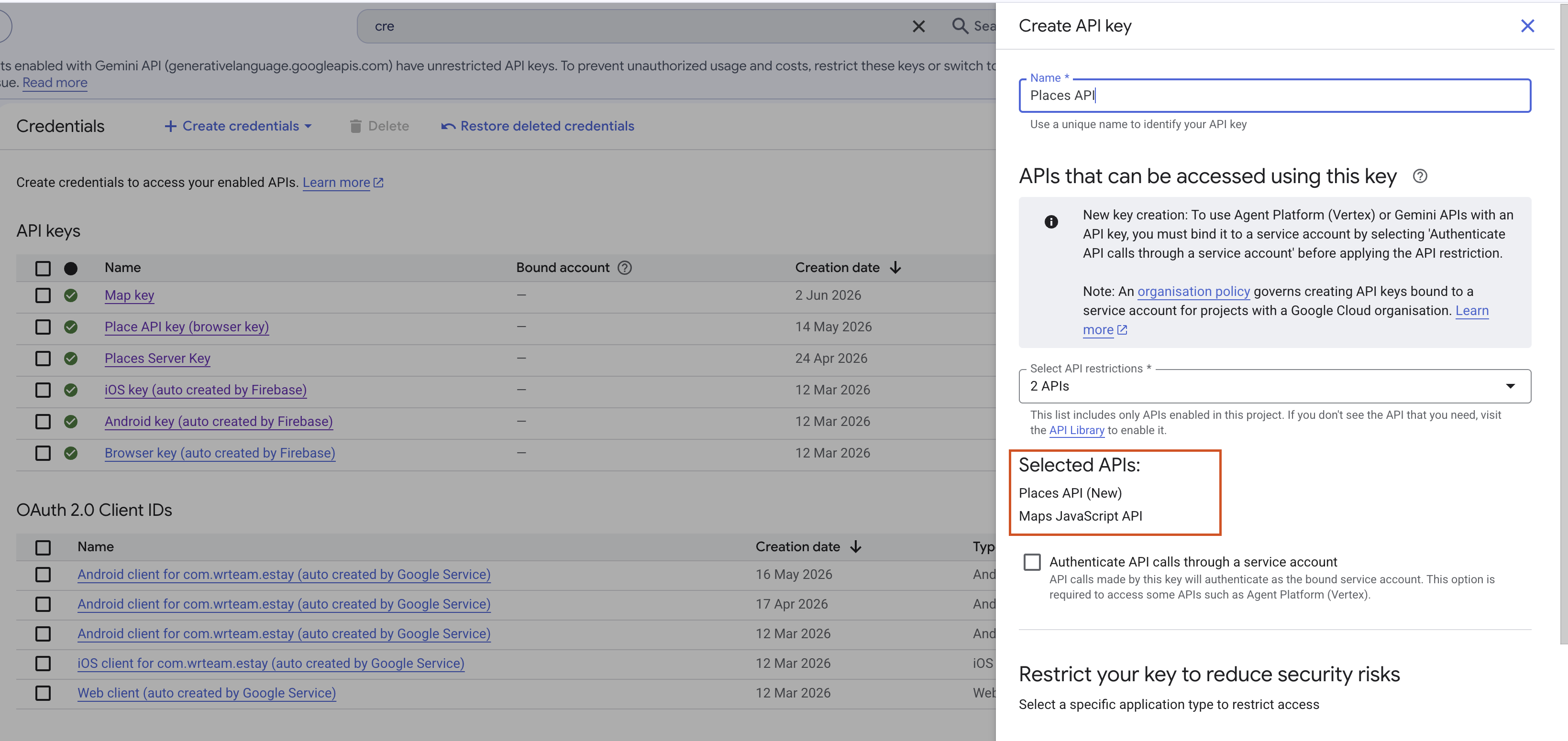 Google Maps API Settings