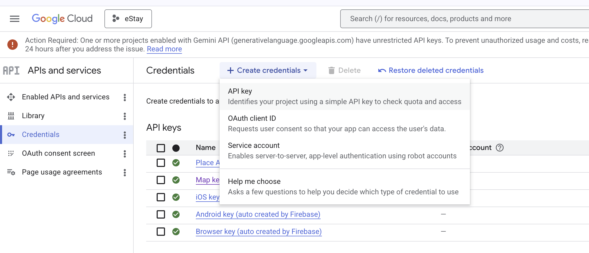 Copy generated API key